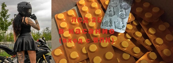 мяу мяу мука Богданович