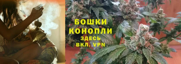 мяу мяу мука Богданович