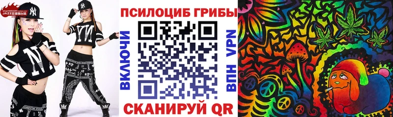 гидра сайт Кирс Псилоцибиновые грибы Psilocybine cubensis